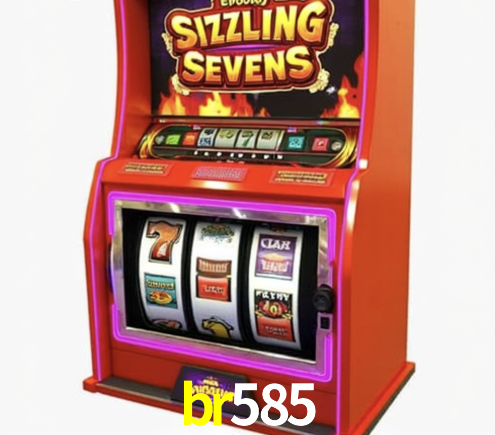 Security Systems br585